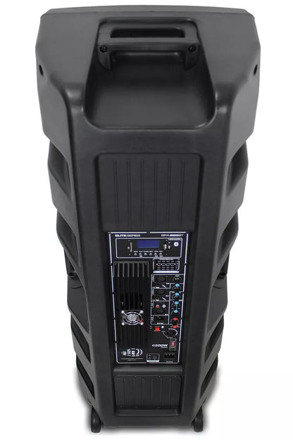 Dolphin SPX-280BT Powerful Deep Bass Dual 15" Woofer 6500W Ground Shaker Speaker